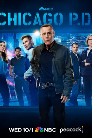 Полиция Чикаго 1-13 сезон